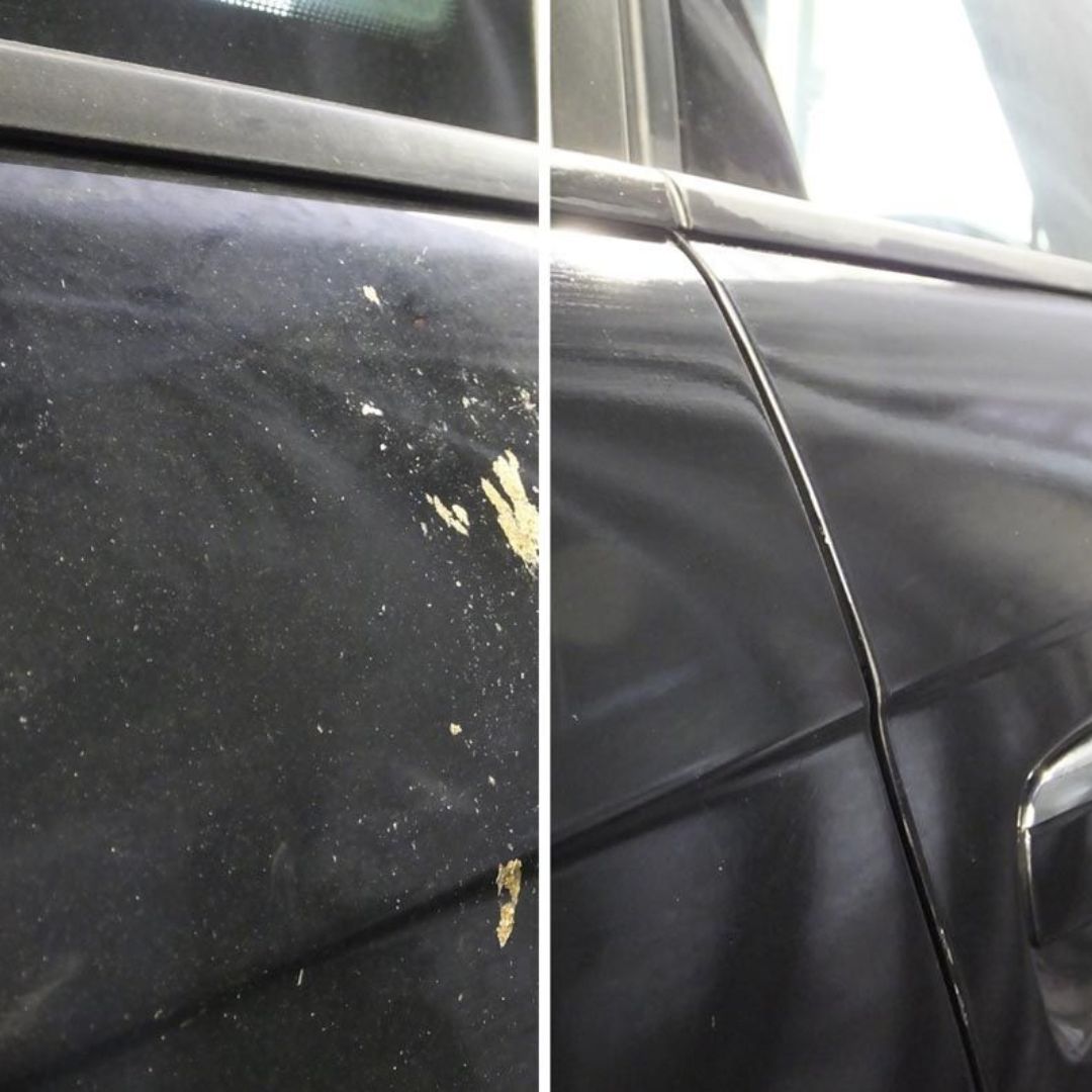 Bird dropping wipes. Remove bird dropping. Bird poo remover.