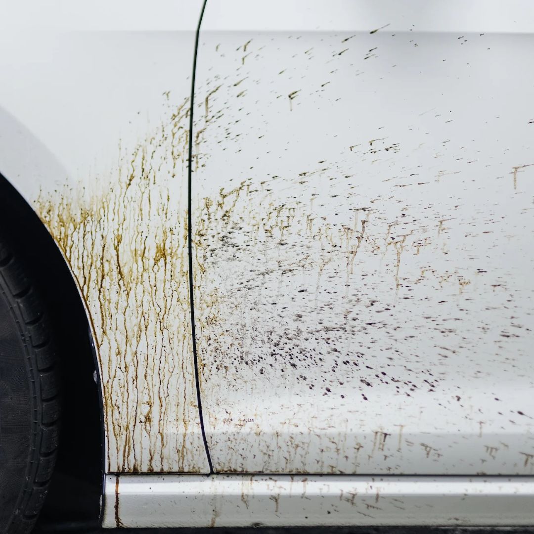 White car with tar spots and dirt on a white background