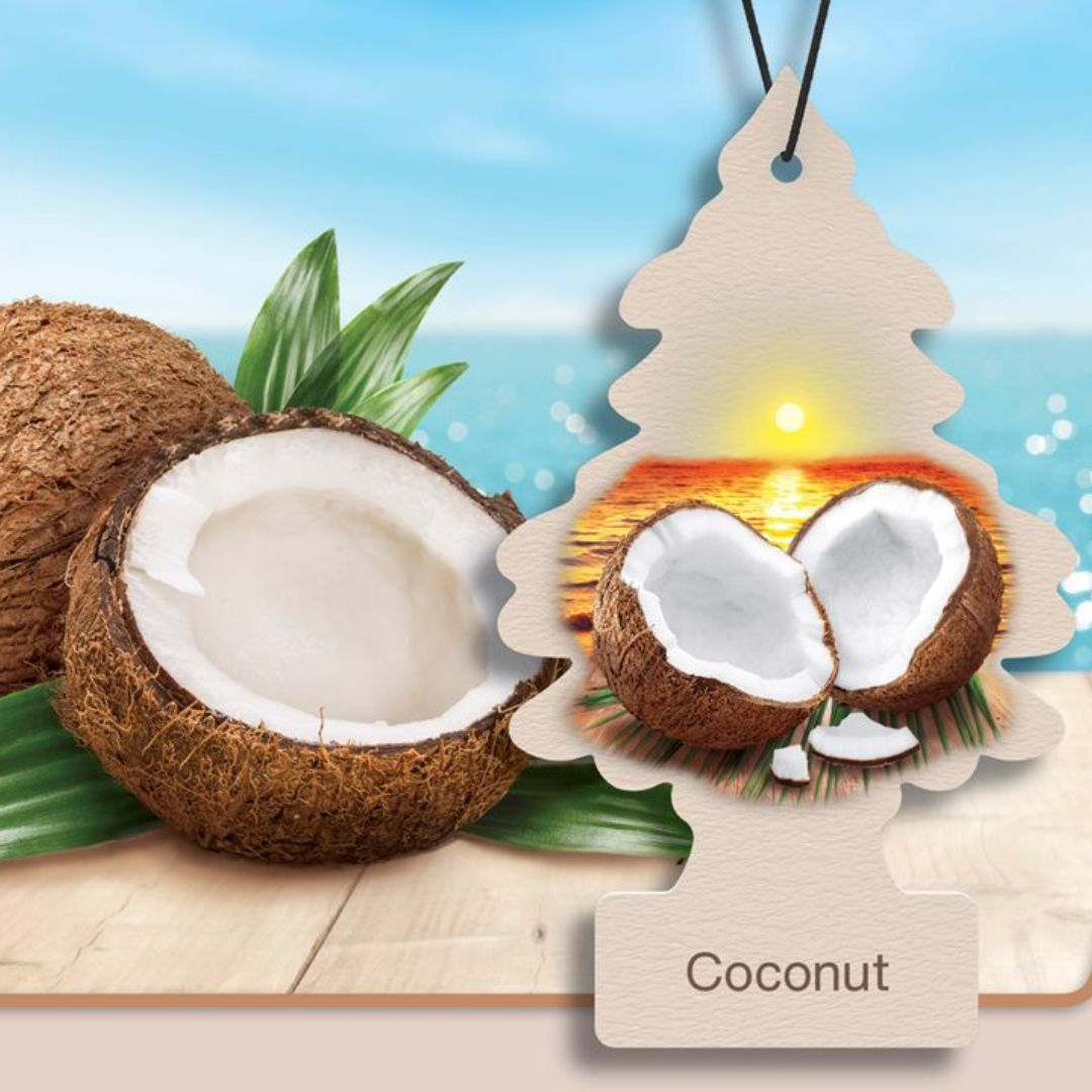 Little Trees Air Freshener - Coconut on beack background with 2 coconuts open