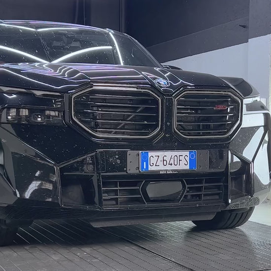 Maniac Insect Remover on BMW