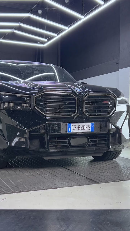 Maniac Insect Remover on BMW